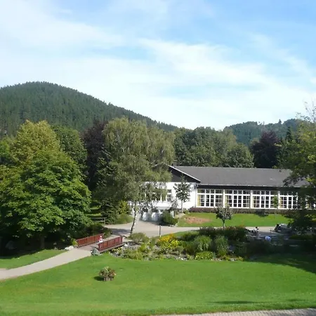 F Am Kurpark Mit Meinecardplus Daire Willingen (Upland)