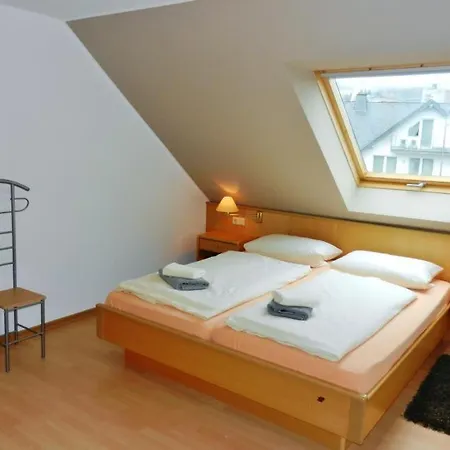Apartman F Am Kurpark Mit Meinecardplus Willingen