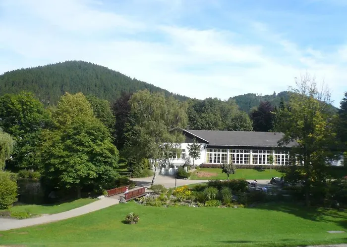 F Am Kurpark Mit Meinecardplus Lejlighed Willingen (Upland)